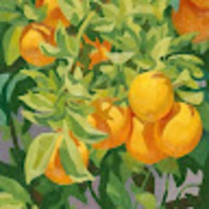 Meet your Posher, Tori